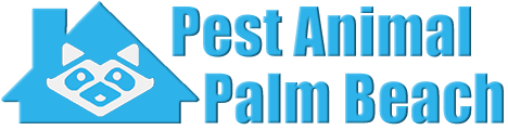 Palm Beach Wildlife and Animal Removal